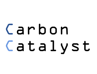 Carbon Catalyst