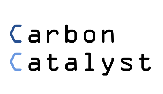 Carbon Catalyst